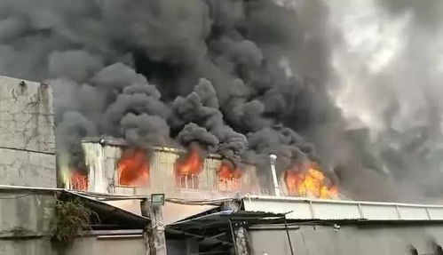 倉庫起火 綜合險與一切險的選擇指南